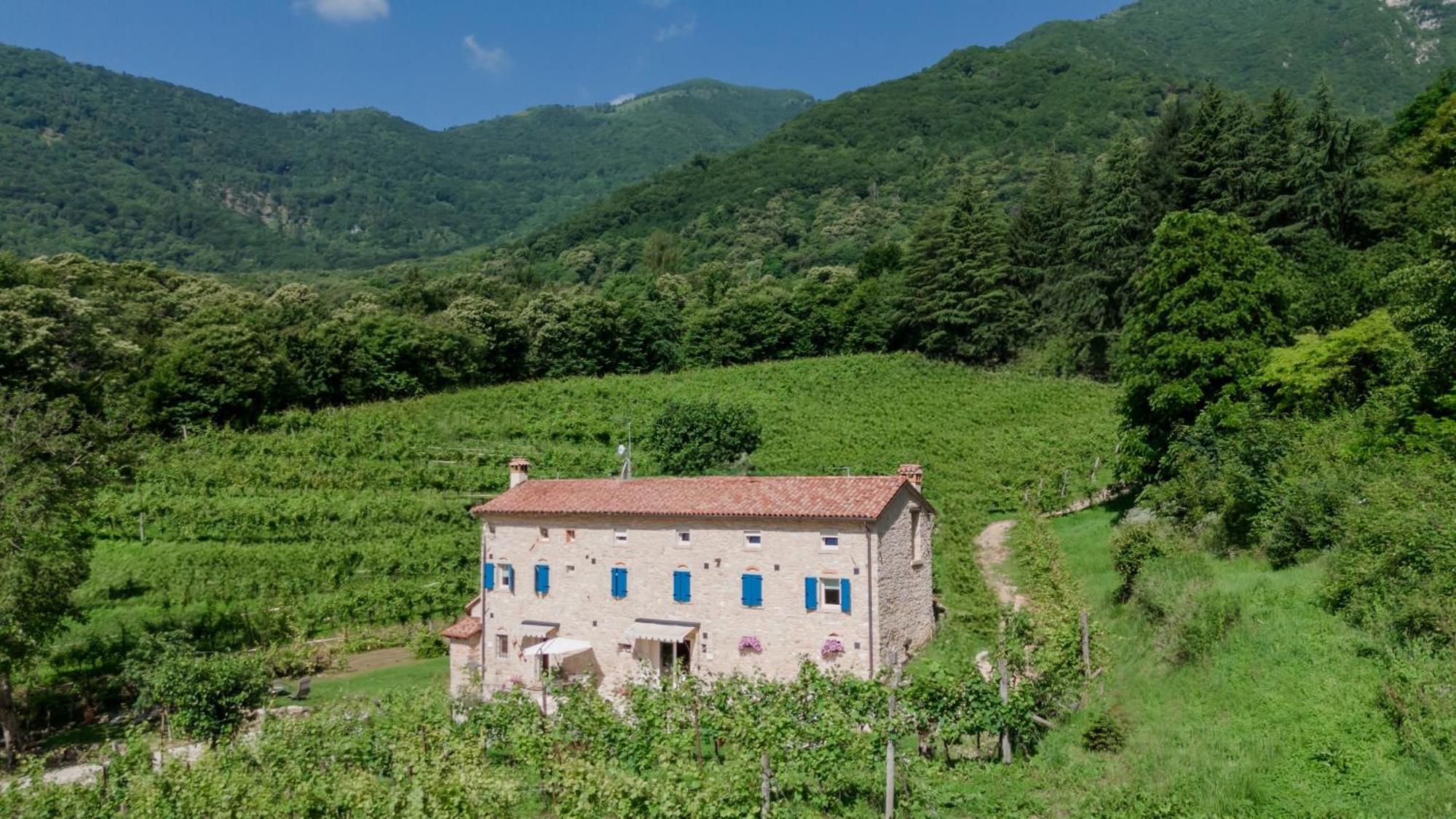 Agriturismo Podere Del Bosc Valmareno Buitenkant foto